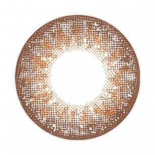 FLANMY Orange Brownie 10片裝